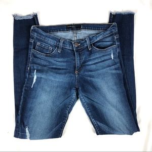 Flying Monkey Distressed Jegging Size 29